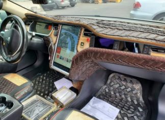 Krokodil Dundee bio bi ponosan na ovaj Tesla Model S