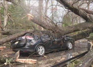 Kako naplatiti štetu ako vam zbog vjetra automobil oštete grana, crijep, lim…