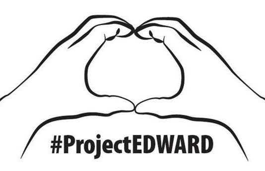 Projekt Edward 2019: Preliminarni rezultati