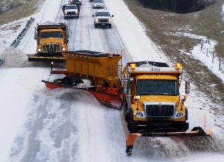 Kukuruz, repica i soja: Amerikanci su pronašli na?in kako smanjiti udjel soli u zimskom posipanju cesta!