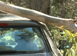 Kako naplatiti štetu ako vam automobil oštete grana, crijep, lim…