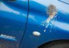 Zračno ‘bombardiranje’: Važno je što prije očistiti ptičji izmet s obojenih površina automobila!