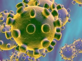 Koronaturizam: Bogataši šire infekciju bježanjem u luksuzna odmarališta!