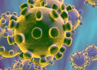 Koronaturizam: Bogataši šire infekciju bježanjem u luksuzna odmarališta!