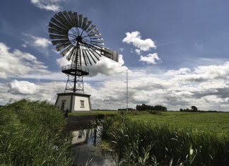 Belgijsko-nizozemski konzorcij testira uzgoj morske trave unutar vjetroparka