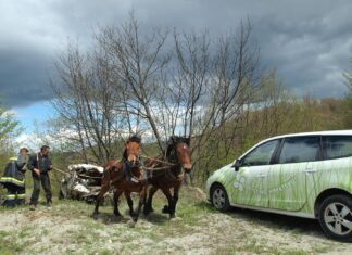 Romeo Ibriševi? je u 16 godina uklonio više od 16.000 automobilskih olupina