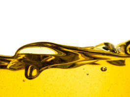 Imaju li benzinsko i dizelsko gorivo rok trajanja?!