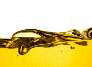 Imaju li benzinsko i dizelsko gorivo rok trajanja?!