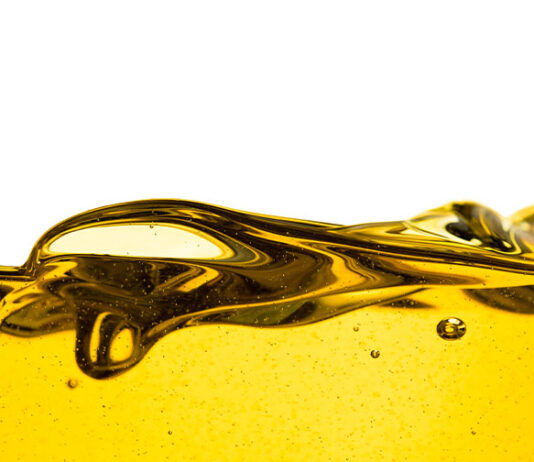 Imaju li benzinsko i dizelsko gorivo rok trajanja?!