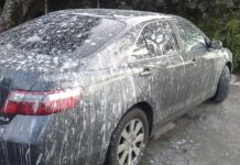Ptičji izmet može napraviti veliku štetu laku automobila
