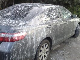 Ptičji izmet može napraviti veliku štetu laku automobila