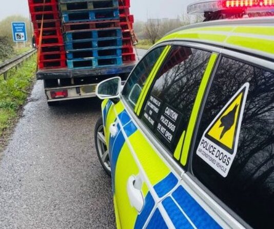 Kona?no je dolijao, nakon što je više od 50 godina vozio bez voza?ke dozvole