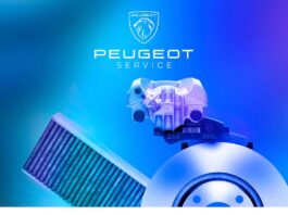 Peugeot zimski pregled vozila