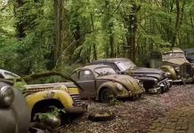 U šumi propada zbirka kultnih automobila vrijedna više milijuna dolara. I to namjerno