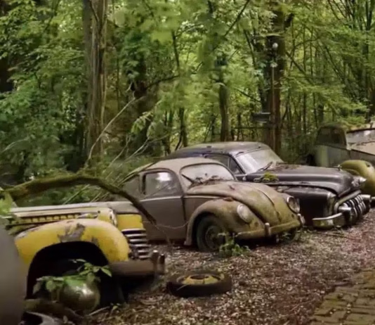 U šumi propada zbirka kultnih automobila vrijedna više milijuna dolara. I to namjerno